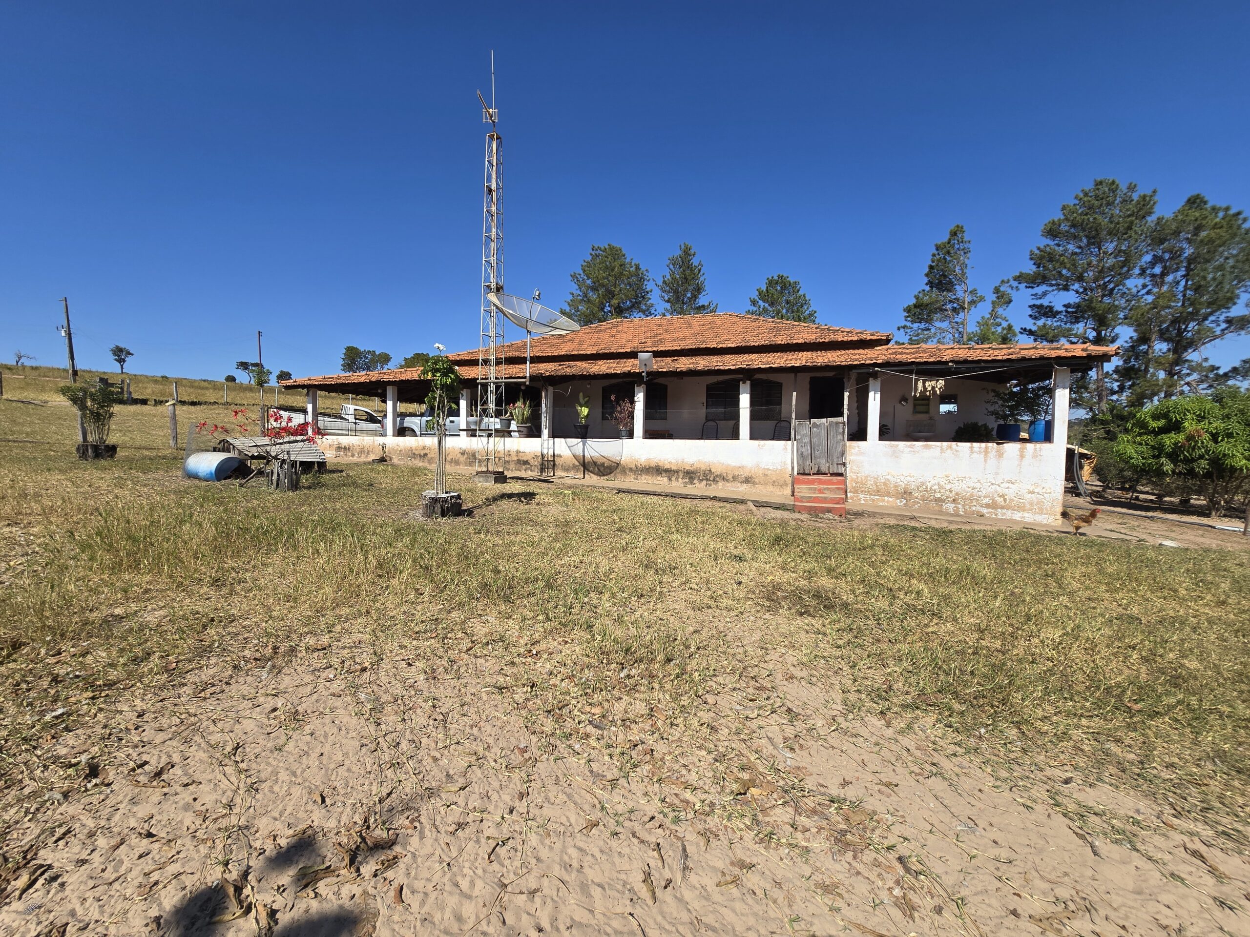 Galeria