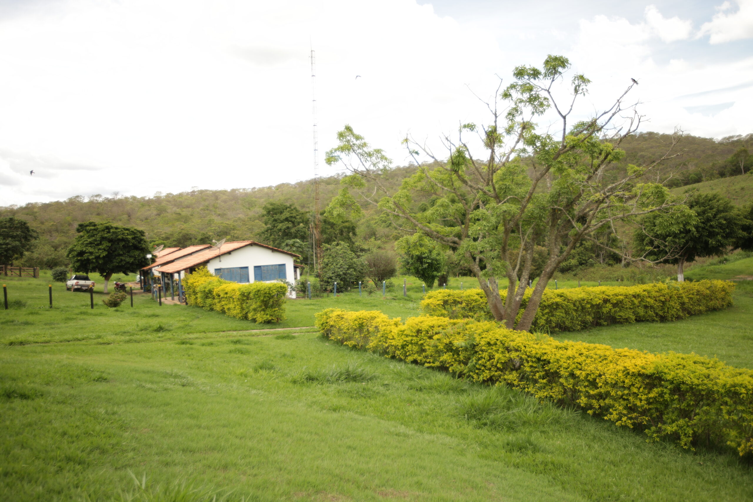 Galeria