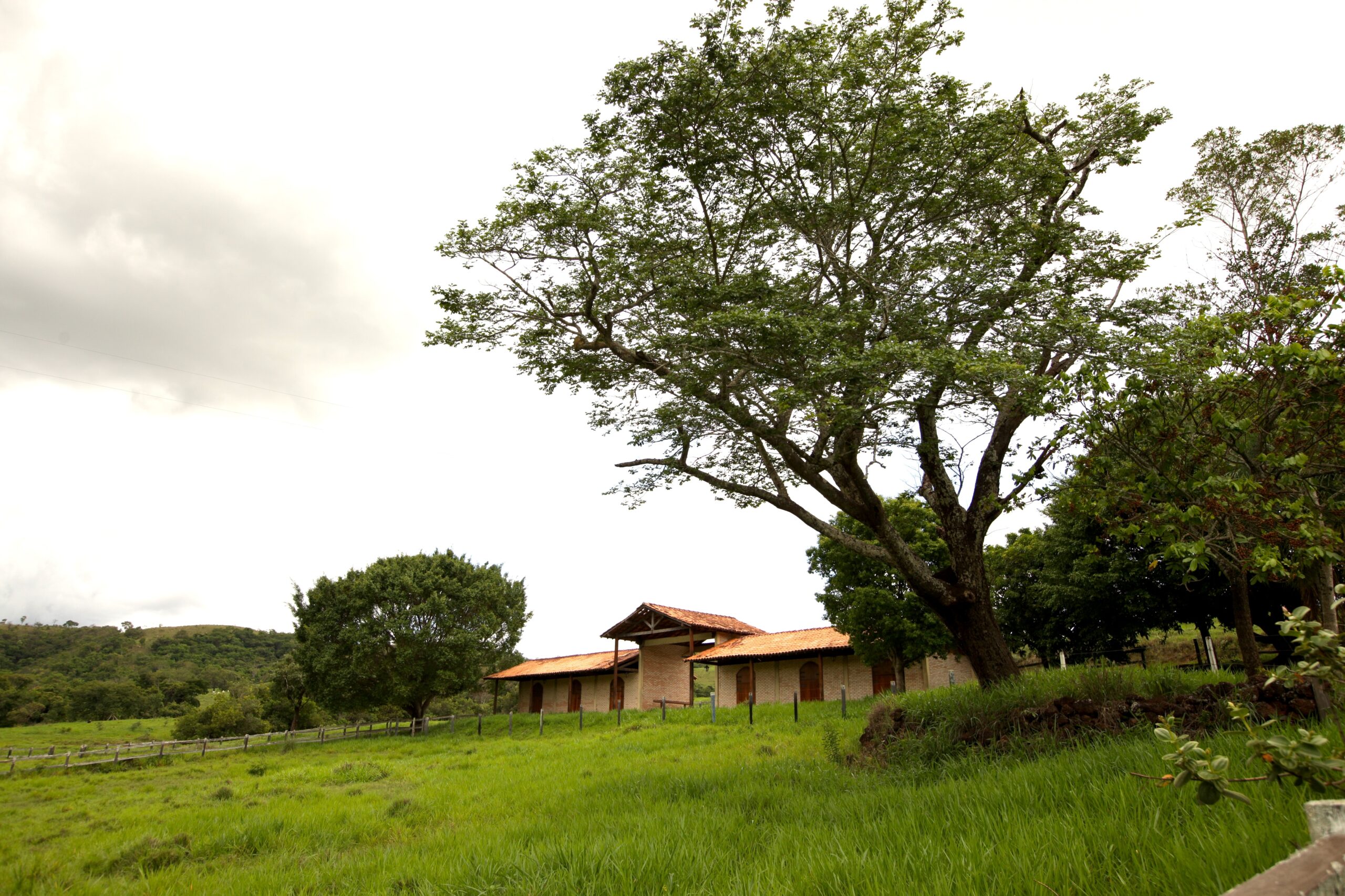 Galeria