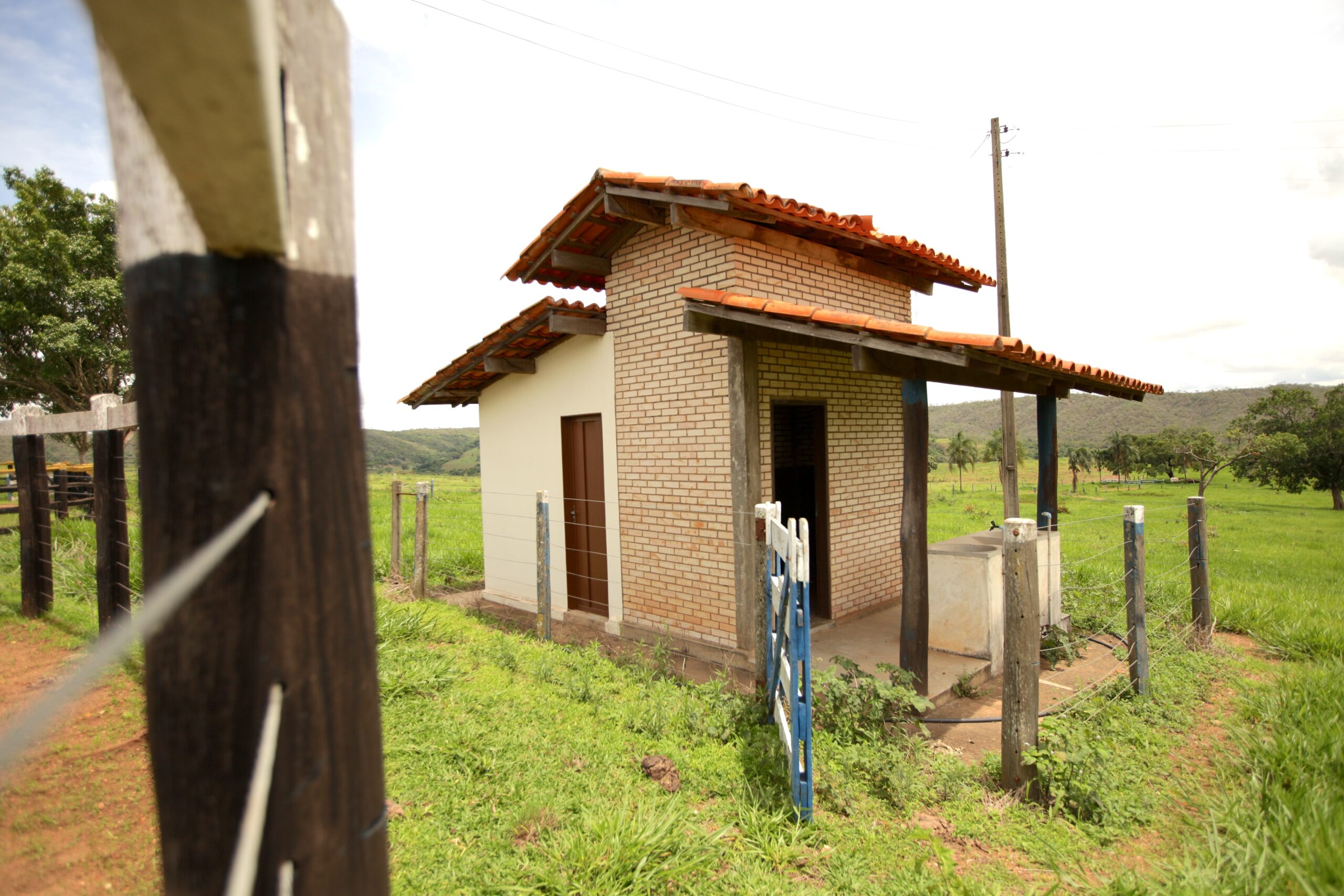 Galeria