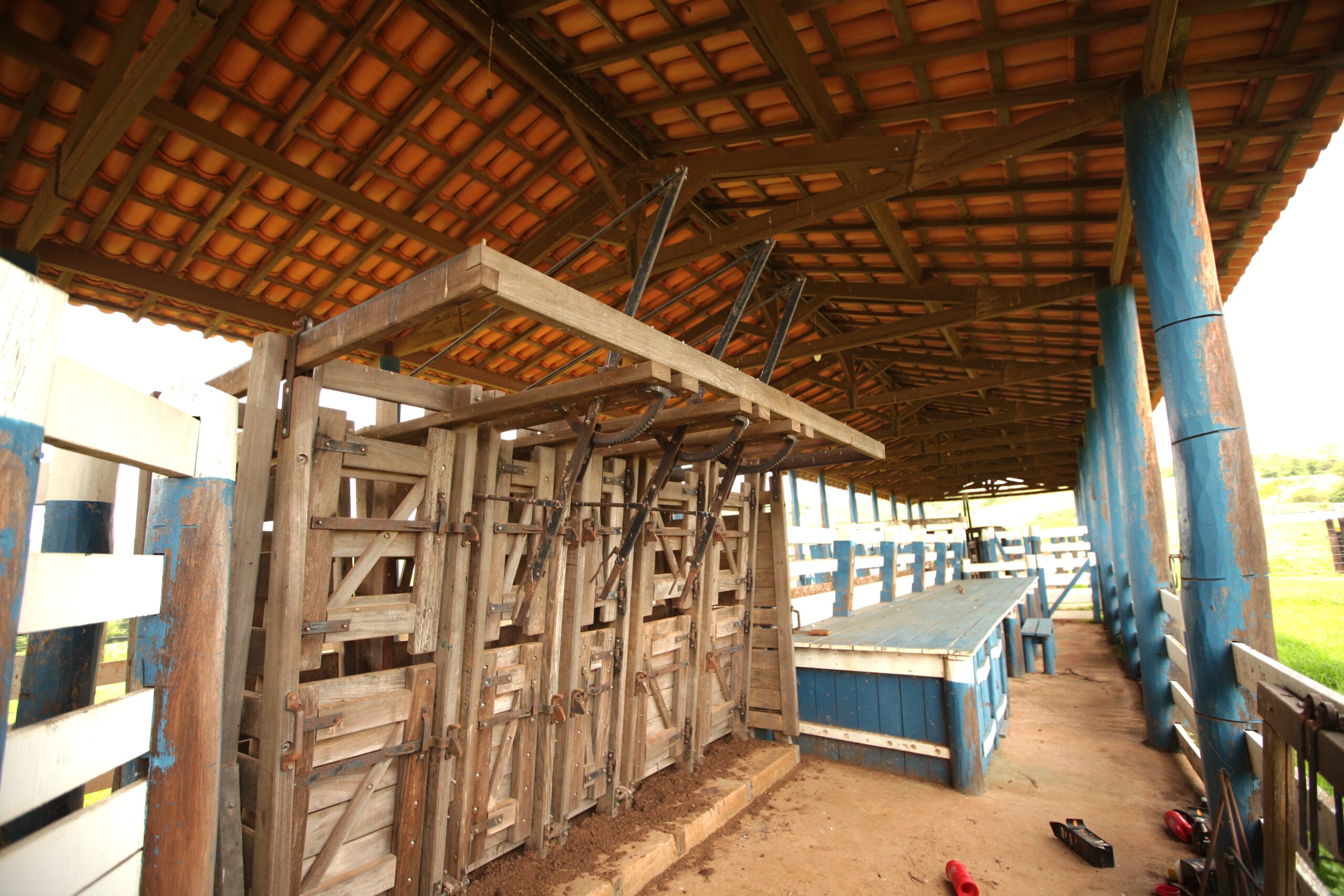 Galeria