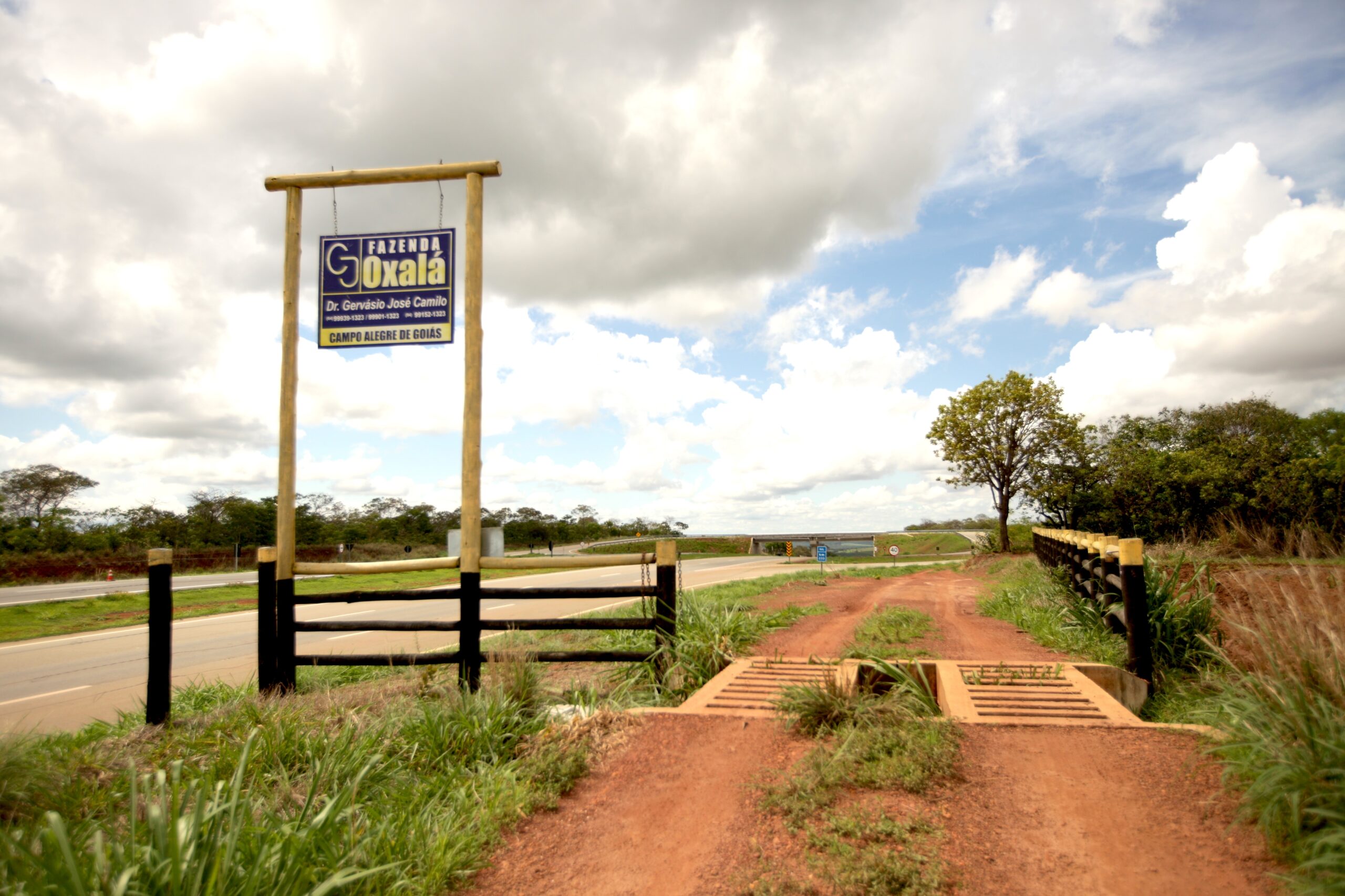 Galeria
