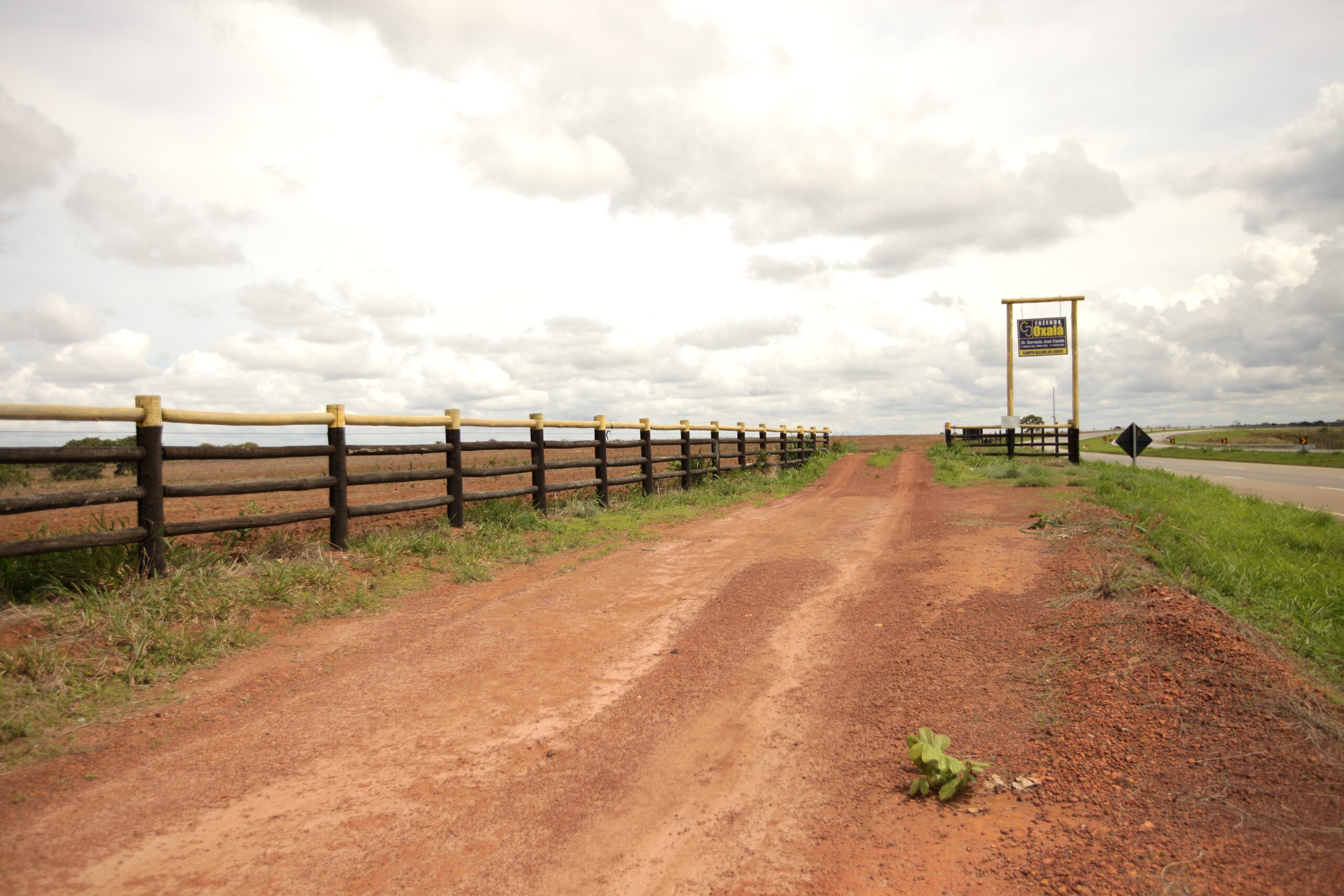 Galeria