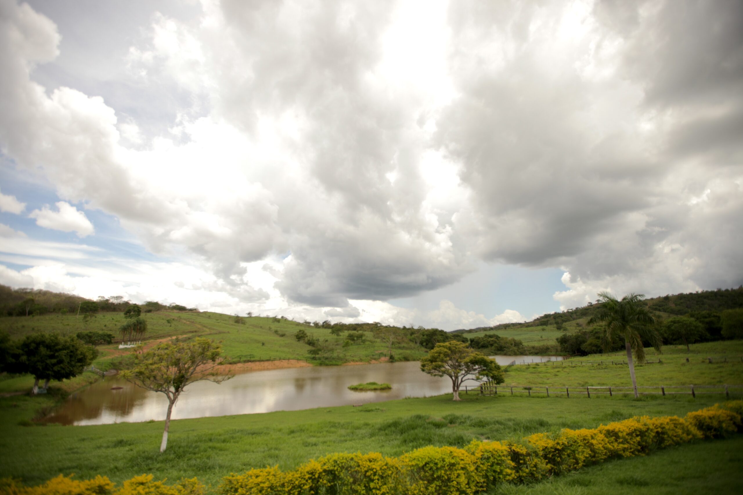 Galeria